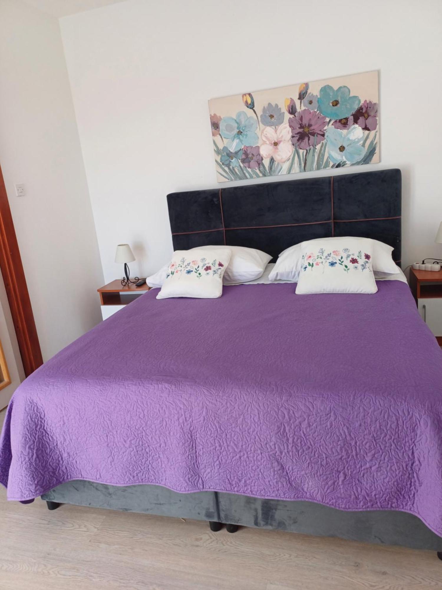 Apartments Jure Miljak بودْسْتغانا المظهر الخارجي الصورة